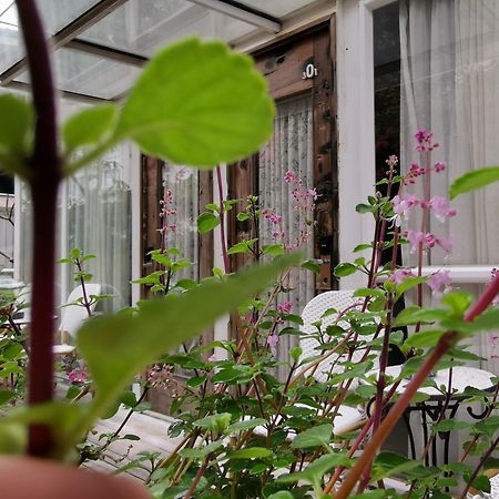 Shenzhen No'6 Garden Villa --French Window With Garden View,Close To Sea World &Shekou Ferry Port &K11 Ecoast &Subway Nearby ,Offer Western Food And Coffee &English Speaking With Tour Services Exteriér fotografie