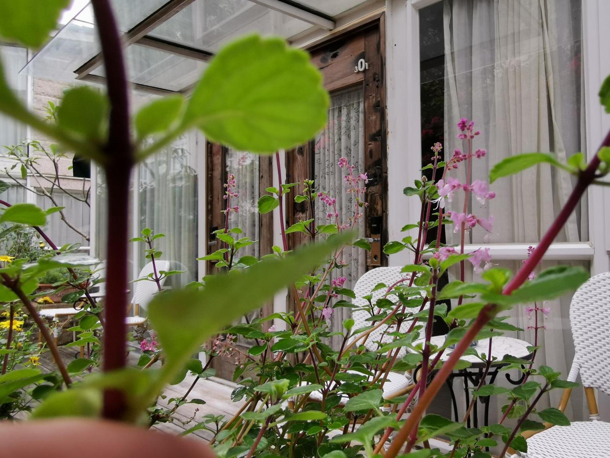 Shenzhen No'6 Garden Villa --French Window With Garden View,Close To Sea World &Shekou Ferry Port &K11 Ecoast &Subway Nearby ,Offer Western Food And Coffee &English Speaking With Tour Services Exteriér fotografie